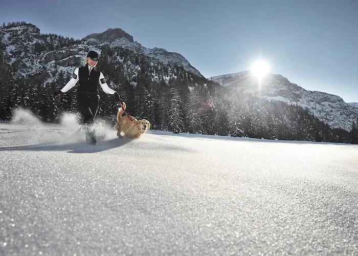 Obertuschenhof 民宿